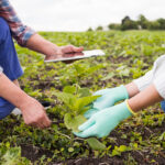 Programa agroambiental