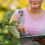 ROL DE LOS ORGANISMOS DE CIENCIA Y TECNOLOGÍA