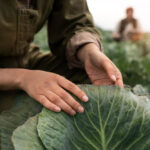 AGRICULTURA SUSTENTABLE Y USO DEL TERRITORIO