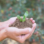 Política agrícola y uso del suelo 