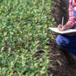 RESPUESTAS Y EXPECTATIVAS DE LOS PRODUCTORES AGROPECUARIOS