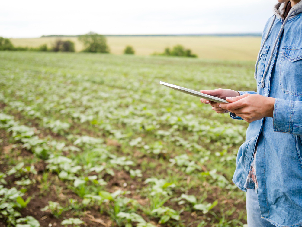 Persona en un campo agrícola utilizando una tablet para monitorear cultivos, en un entorno rural con vegetación en crecimiento y horizonte abierto.