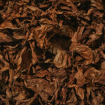 CURADO AL AIRE (Tipo Burley). 